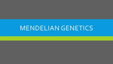 MENDELIAN GENETICS. VOCABULARY  Trait- A characteristic  Allele – Different form of a trait  Gene- The chemical factors that determine a trait (actual.