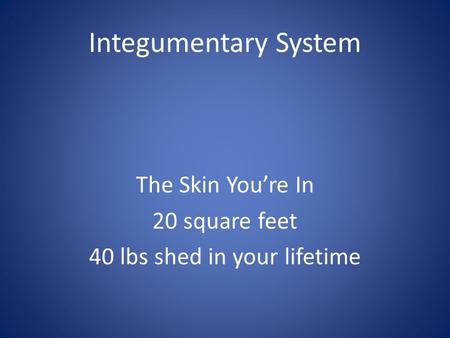 Integumentary System The Skin You’re In 20 square feet 40 lbs shed in your lifetime.