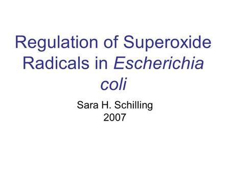Regulation of Superoxide Radicals in Escherichia coli Sara H. Schilling 2007.