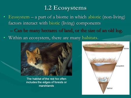 1.2 Ecosystems Ecosystem – a part of a biome in which abiotic (non-living) factors interact with biotic (living) components Can be many hectares of land,