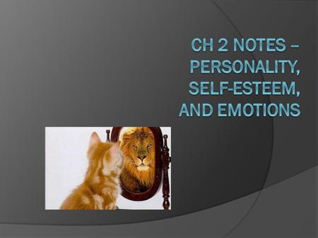 Ch 2 Notes – Personality, Self-Esteem, and Emotions
