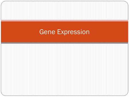 Gene Expression. Remember, every cell in your body contains the exact same DNA… …so why does a muscle cell have different structure and function than.