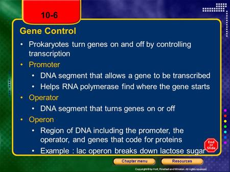 Copyright © by Holt, Rinehart and Winston. All rights reserved. ResourcesChapter menu Gene Control Prokaryotes turn genes on and off by controlling transcription.