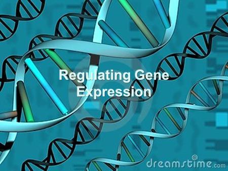 Complexities of Gene Expression Cells have regulated, complex systems –Not all genes are expressed in every cell –Many genes are not expressed all of.
