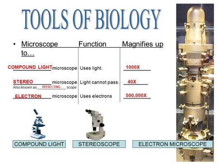 MicroscopeFunctionMagnifies up to… ______________ microscope Uses light. __________ ______________ microscope Light cannot pass. _________ ______________.