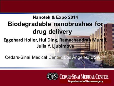 Biodegradable nanobrushes for drug delivery