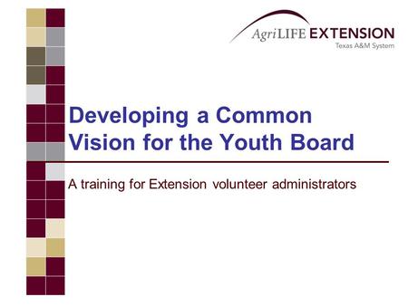 Developing a Common Vision for the Youth Board A training for Extension volunteer administrators.