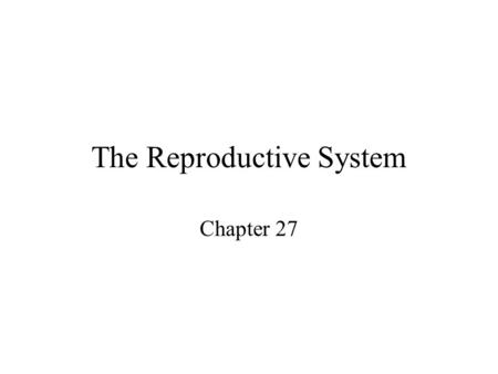 The Reproductive System Chapter 27. Organs of the Male Reproductive System –Scrotum –Testes –Epididymus –Vas deferens –Urethra.