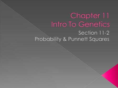 Mendel Carefully Accumulated Data And Realized That The Principles Of Probability Could Be Used To Explain The Results.