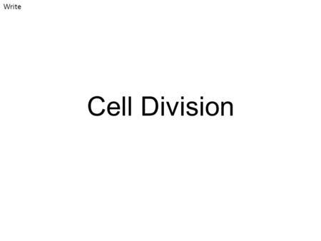 Write Cell Division.