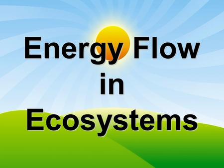 Energy Flow in Ecosystems. Components of an Ecosystem living and non-living things interact with each other in an ecosystem.living and non-living things.