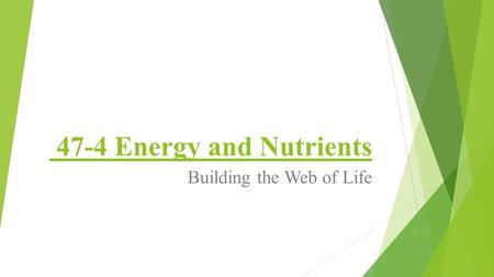 47-4 Energy and Nutrients Building the Web of Life.