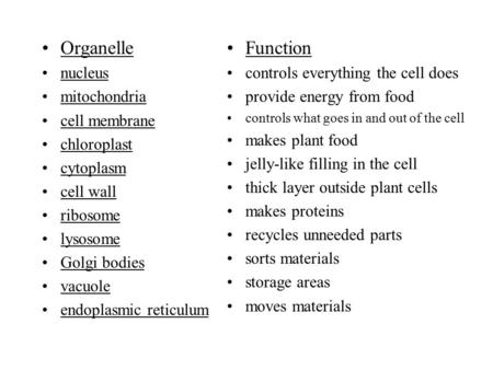 Organelle Function nucleus mitochondria cell membrane chloroplast