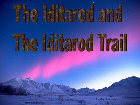 By Mrs. Burrows. What is the Iditarod? The Iditarod is a dog sled race that takes place in Alaska, U.S.A. every year.