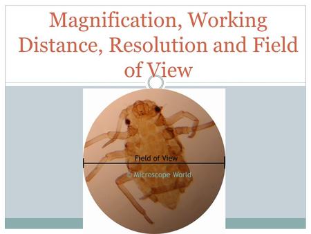 Magnification, Working Distance, Resolution and Field of View.