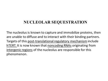 NUCLEOLAR SEQUESTRATION