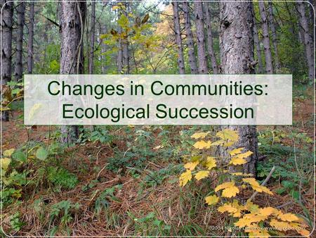 Changes in Communities: Ecological Succession. Ecological Succession The natural, gradual changes in the types of species that live in a particular area.