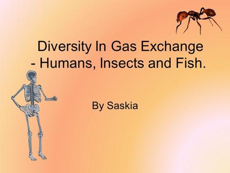 Diversity In Gas Exchange - Humans, Insects and Fish. By Saskia.