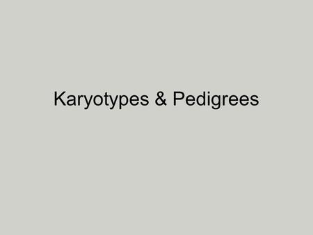 Karyotypes & Pedigrees. Karyotypes A chart or picture of a person’s chromosomes.