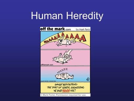 Human Heredity. Human Chromosomes Pedigree Chart How does this chart relate to colorblindness and other sex-linked genetic disorders?