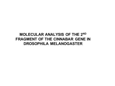 MOLECULAR ANALYSIS OF THE 2 ND FRAGMENT OF THE CINNABAR GENE IN DROSOPHILA MELANOGASTER.