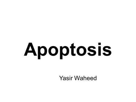 Apoptosis Yasir Waheed. The cells of a multicellular organism are members of a highly organized community. The number of cells in this community is tightly.