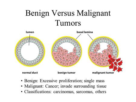 Benign Versus Malignant Tumors