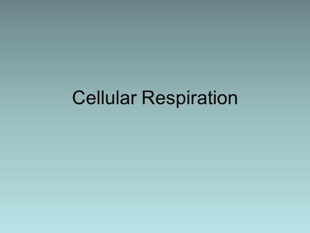 Cellular Respiration. Cellular Respiration – mitochondria break down food molecules to produce ATP 3 stages Glycolysis Citric Acid Cycle (Kreb’s Cycle)