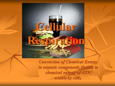 Cellular Respiration Conversion of Chemical Energy in organic compounds (foods) to chemical energy of ATP, usable by cells.