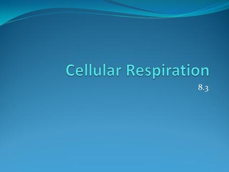 Cellular Respiration 8.3.