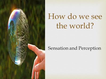 How do we see the world? Sensation and Perception.