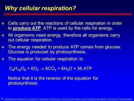 Why cellular respiration?