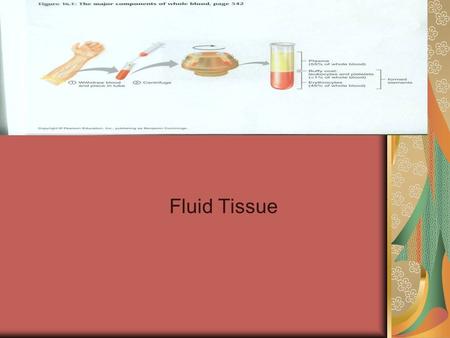 Blood Fluid Tissue. Functions Transportation Transportation 1. Oxygen and Carbon Dioxide 2. Nutrients 3. Heat and waste products 4. Hormones.
