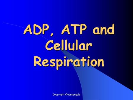 ADP, ATP and Cellular Respiration Copyright Cmassengale.
