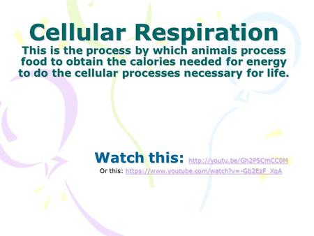 Cellular Respiration This is the process by which animals process food to obtain the calories needed for energy to do the cellular processes necessary.