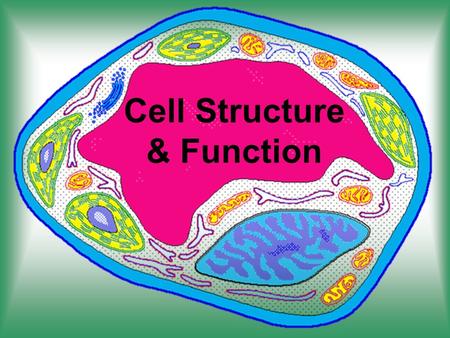 Cell Structure & Function. Outcome addressed today!! 304-4illustrate and explain that the cell is a living system that exhibits all of the characteristic.