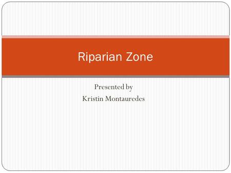 Presented by Kristin Montauredes Riparian Zone. Riparian Zone- The transition between the aquatic environment of a river or stream and the upland terrestrial.