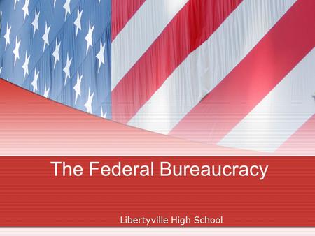 The Federal Bureaucracy Libertyville High School.