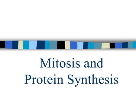 Mitosis and Protein Synthesis. Cell Division Occurs in humans and other organisms at different times in their life. Cell Division differs depending on.