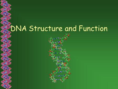 DNA Structure and Function. What is DNA and why is this molecule important? A. DNA – Deoxyribonucleic Acid B. Codes for our traits.