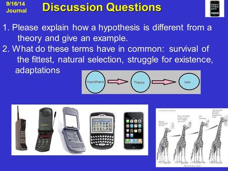 Discussion Questions Discussion Questions 9/16/14 Journal 1. Please explain how a hypothesis is different from a theory and give an example. 2. What do.