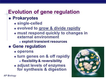 Evolution of gene regulation