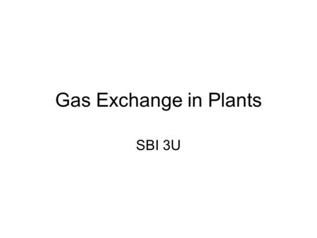 Gas Exchange in Plants SBI 3U. Plants need Oxygen too. Plants obtain the gases they need through their leaves. They require oxygen for respiration and.