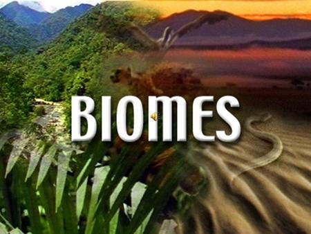 What is a Biome? Scientists have developed the term Biome to describe areas on the earth with similar climate, plants, and animals. The plants and animals.