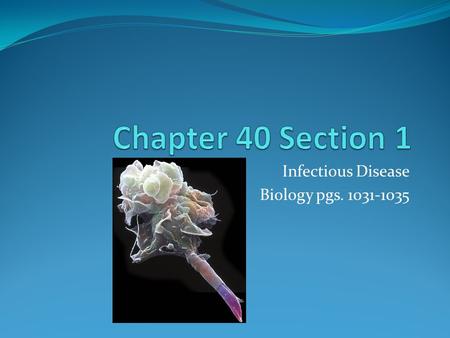 Infectious Disease Biology pgs. 1031-1035. Objectives Identify the causes of disease. Explain how infectious diseases are transmitted Describe how antibiotics.