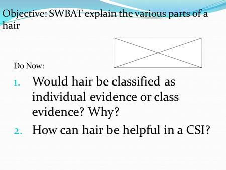How can hair be helpful in a CSI?