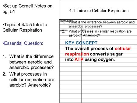 4.2 Overview of Photosynthesis Set up Cornell Notes on pg. 51 Topic: 4.4/4.5 Intro to Cellular Respiration Essential Question: 1.What is the difference.