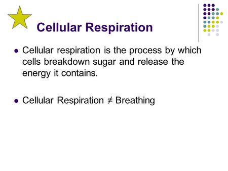 Cellular Respiration Cellular respiration is the process by which cells breakdown sugar and release the energy it contains. Cellular Respiration ≠ Breathing.