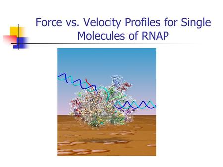 Force vs. Velocity Profiles for Single Molecules of RNAP.