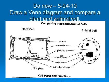 Do now – 5-04-10 Draw a Venn diagram and compare a plant and animal cell.